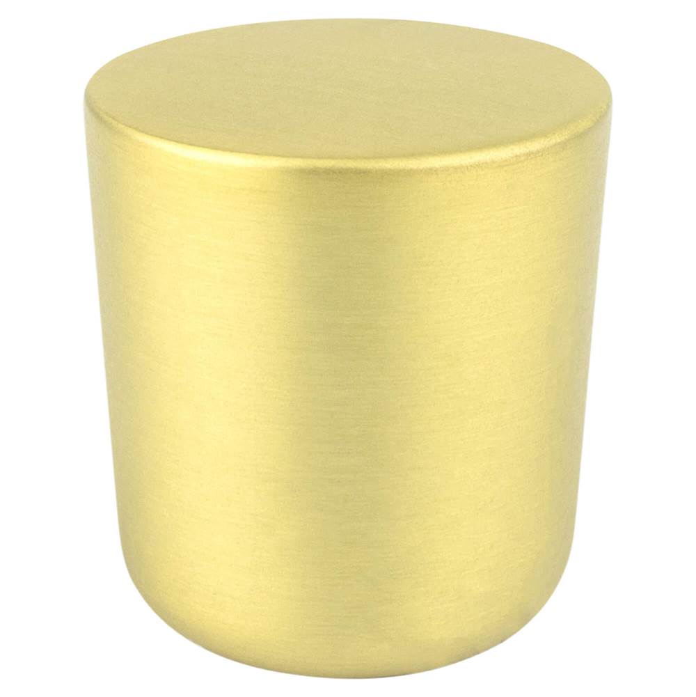 R. Christensen Mini Soft Gold Large Round Knob