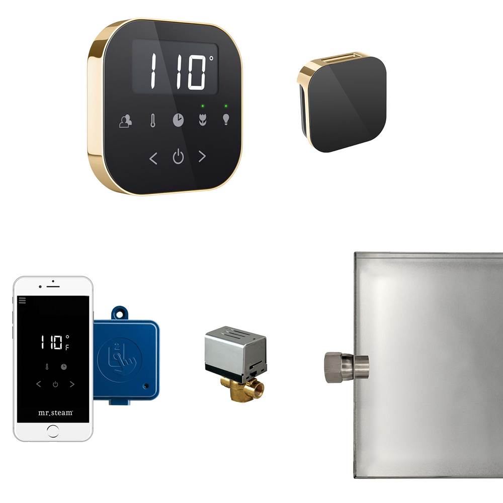 Mr. Steam AirButler Steam Shower Control Package with AirTempo Control and Aroma Glass SteamHead in Black Polished Brass